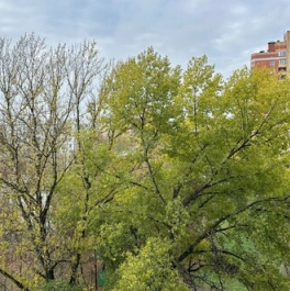 Продажа 2-комн квартиры на вторичном рынке Кучино, Центральная улица,  д. 4