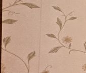 Сдать в аренду Квартиры вторичка Пушкин, Ленинградская улица, 14   