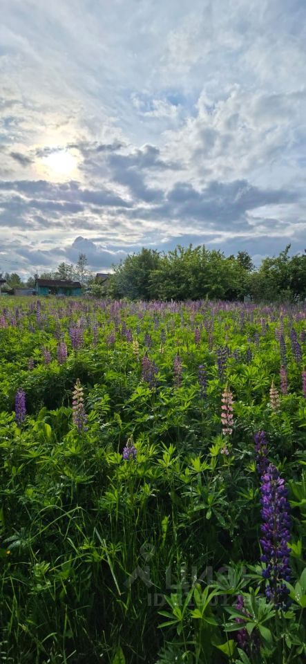 Продажа земли Павловск, Славяночка-2 СНТ, 370