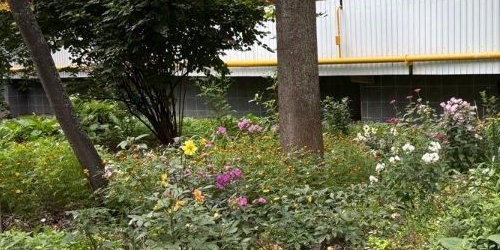 2-комн квартира Севанская улица, 4