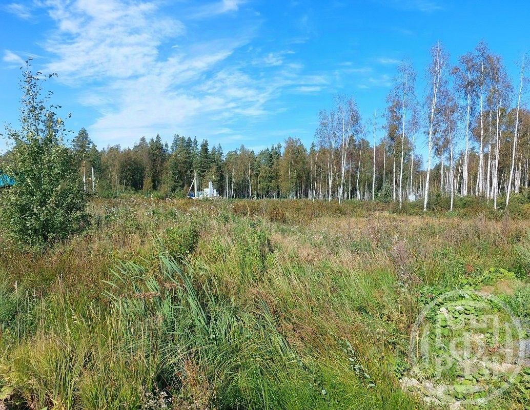 Продажа земли Новое Токсово СНТ
