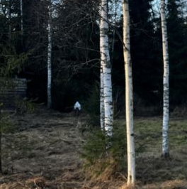 Продажа дома Пустынька СНТ Продажа дома Пустынька СНТ