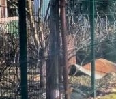 Продать Земельные участки, земля Авангард-1 СНТ  62 