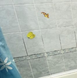 Продажа 2-комн квартиры на вторичном рынке Калининец пгт, 8 Продажа 2-комн квартиры на вторичном рынке Калининец пгт, 8