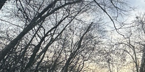 2-комн квартира улица Подольских Курсантов, 8К2