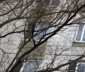 Продать Квартиры вторичка Тайнинская улица, 15К1   