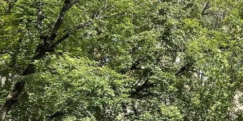 3-комн квартира 3-й Дорожный проезд, 5К1