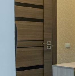 Продажа студии пос. Шушары, улица Вишерская, 2