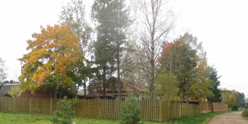 Коттедж/дом Большая Ижора пгт, Луговая ул,  д. 8