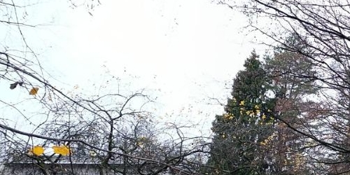 2-комн квартира улица Карбышева, 4К1