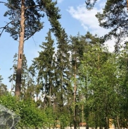 Продажа 1-комн квартиры на вторичном рынке Саввино, Безымянная улица,  д. 4