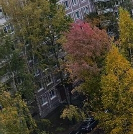 Аренда 1-комн квартиры на вторичном рынке Комендантский проспект, 28К1 Аренда 1-комн квартиры на вторичном рынке Комендантский проспект, 28К1