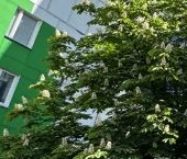 Продать Квартиры вторичка Рязанский проспект, 82К3   