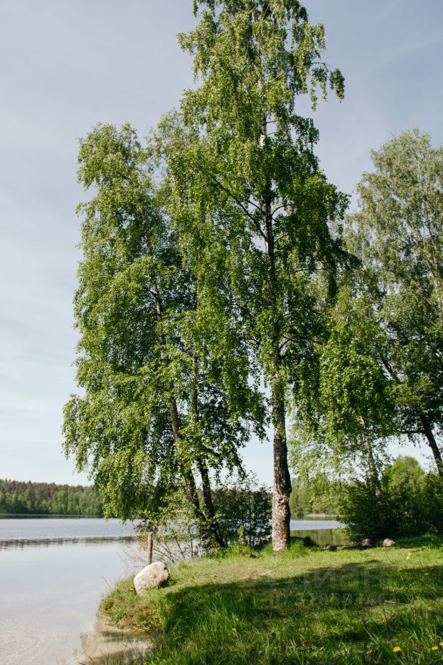 Продажа земли Каменный Берег кп, пос. Гречухино