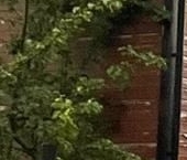 Продать Дачи, коттеджи, загородные дома Пушкин, Коллективный Сад № 6 СНТ   