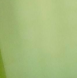 Аренда 1-комн квартиры на вторичном рынке улица Плесецкая, 10