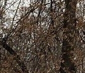 Продать Квартиры вторичка Тайнинская улица, 6   