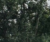 Продать Квартиры вторичка Волоколамское шоссе, 81/2с2   