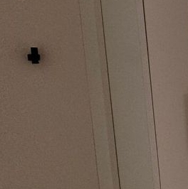 Аренда 1-комн квартиры на вторичном рынке Большой Сампсониевский проспект, 69к1 Аренда 1-комн квартиры на вторичном рынке Большой Сампсониевский проспект, 69к1