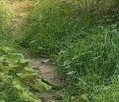 Продать Земельные участки, земля Деревня Новая тер.   