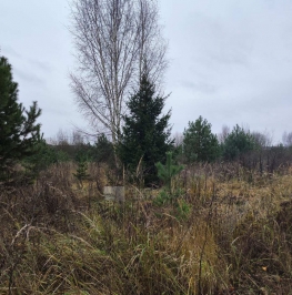 Продажа земли Минино д. Продажа земли Минино д.