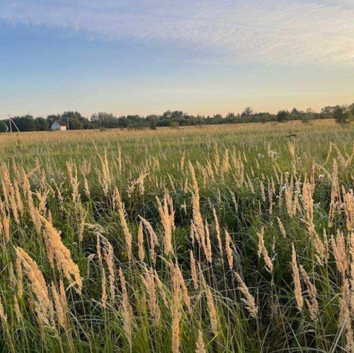 Земельный участок деревня Аргуново