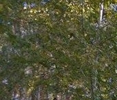 Продать Квартиры вторичка улица Короленко, 7К3   