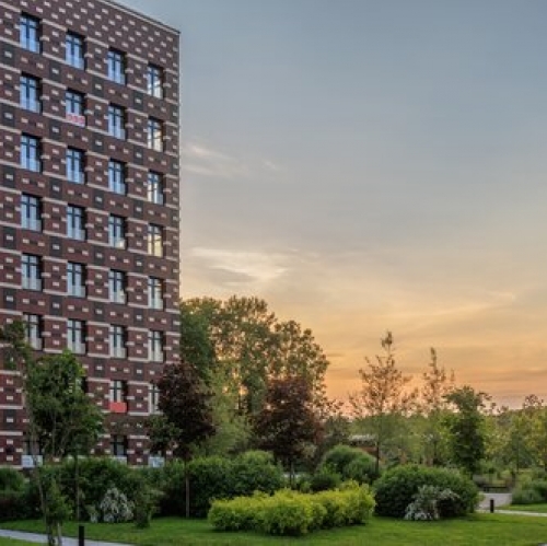 1-комн квартира Петровский пр-кт,  д. 9 к2