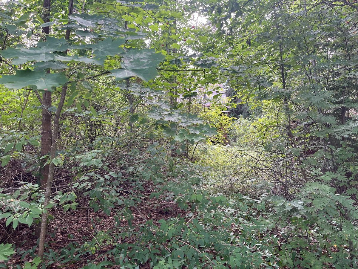 Продажа земли Орехово-Южный дачный потребительский кооператив, улица Дачная