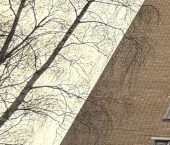 Сдать в аренду Квартиры вторичка улица Зои и Александра Космодемьянских, 34А   