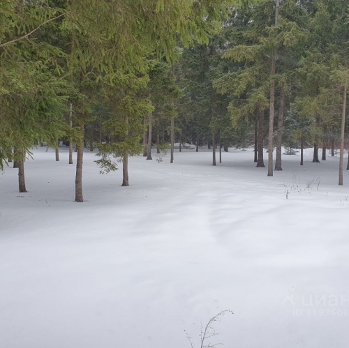 Земельный участок Подольниха, 46К-8242,  д. 31В