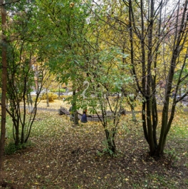 Продажа 1-комн квартиры на вторичном рынке Репищева улица,  д. 9