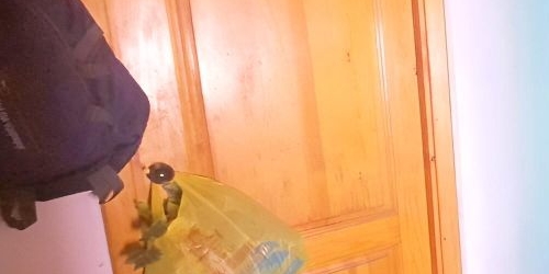 Комната улица Танкиста Хрустицкого, 108