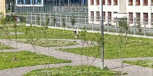 Студия проспект Маршала Блюхера, 7к3