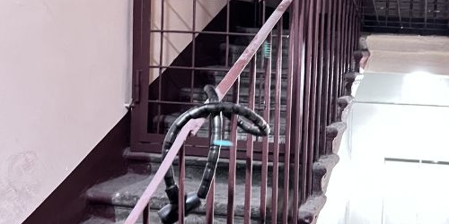 3-комн квартира Лиговский проспект, 263