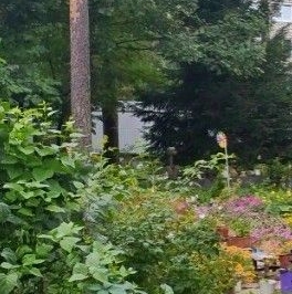 Продажа земли Всеволожск, Константиновская улица, 109