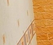 Сдать в аренду Квартиры вторичка Кондратьевский проспект, 66к1   