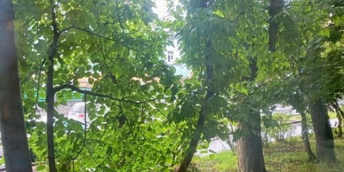 1-комн квартира улица Максимова,  д. 10