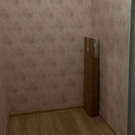 Продажа 1-комн квартиры на вторичном рынке Доможирово, Магистральная улица,  д. 2Б