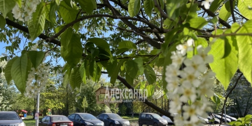 Комната Евдокима Огнева ул. ,  д. 10,  к. 3