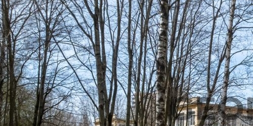 2-комн квартира проспект Науки, 13К1