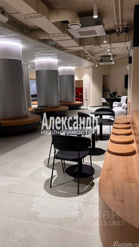 Аренда ПСН Заневский пр-кт,  д. 65а