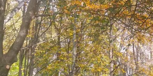 1-комн квартира Россошанская улица, 3К2