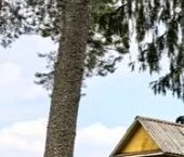 Продать Дачи, коттеджи, загородные дома Вырица городской поселок   