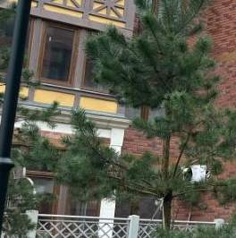 Продажа 1-комн квартиры на вторичном рынке с. Николо-Урюпино, улица Полковника Глазунова, 15 Продажа 1-комн квартиры на вторичном рынке с. Николо-Урюпино, улица Полковника Глазунова, 15