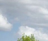 Продать Квартиры вторичка бульвар Академика Ландау, 5к1   