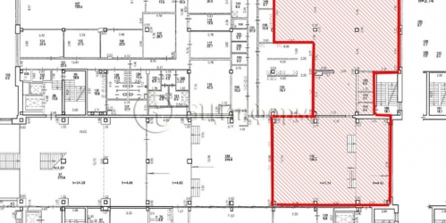 Офис Петроградская наб,  д. 36