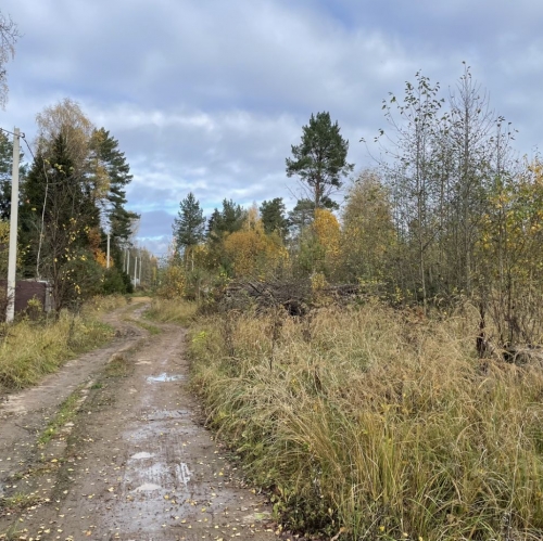 Земельный участок Клопово, 46Н-07164