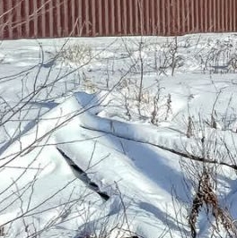 Продажа земли пос. Парголово, Вокзальное шоссе