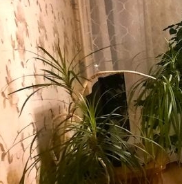 Продажа 3-комн квартиры на вторичном рынке улица Маршала Кожедуба, 14